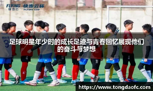 日本队夺得奥运棒球金牌