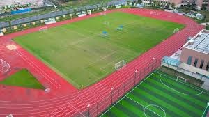 此次未入选巴西队身价前10：拉菲尼亚、萨维尼奥、马丁内利在列